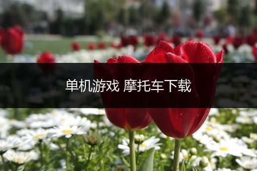 单机游戏 摩托车下载