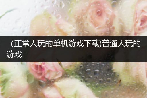 （正常人玩的单机游戏下载)普通人玩的游戏