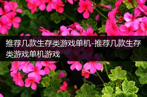 推荐几款生存类游戏单机-推荐几款生存类游戏单机游戏