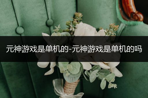 元神游戏是单机的-元神游戏是单机的吗
