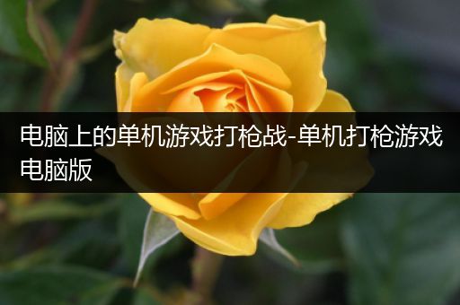 电脑上的单机游戏打枪战-单机打枪游戏电脑版