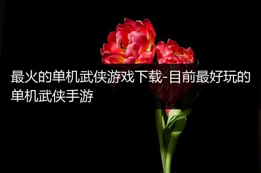 最火的单机武侠游戏下载-目前最好玩的单机武侠手游