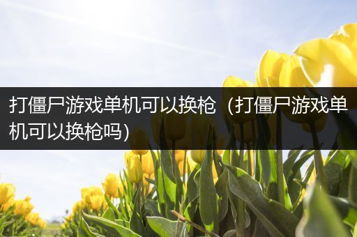 打僵尸游戏单机可以换枪（打僵尸游戏单机可以换枪吗）