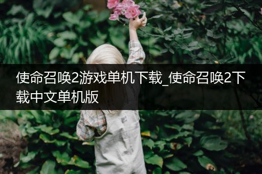 使命召唤2游戏单机下载_使命召唤2下载中文单机版