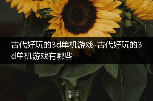 古代好玩的3d单机游戏-古代好玩的3d单机游戏有哪些