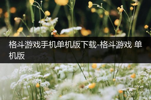 格斗游戏手机单机版下载-格斗游戏 单机版