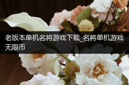 老版本单机名将游戏下载_名将单机游戏无限币