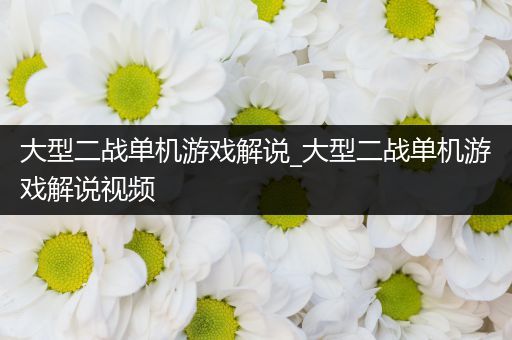 大型二战单机游戏解说_大型二战单机游戏解说视频