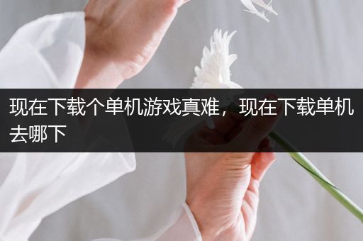 现在下载个单机游戏真难，现在下载单机去哪下