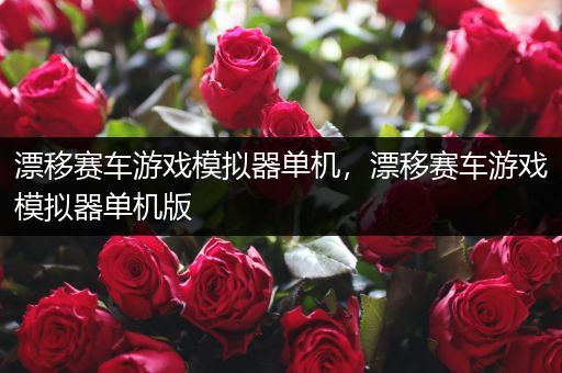 漂移赛车游戏模拟器单机，漂移赛车游戏模拟器单机版