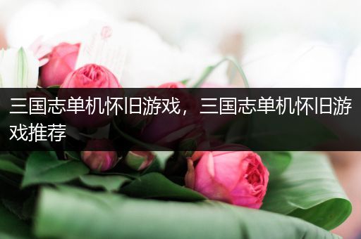 三国志单机怀旧游戏，三国志单机怀旧游戏推荐