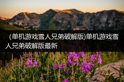 （单机游戏雪人兄弟破解版)单机游戏雪人兄弟破解版最新