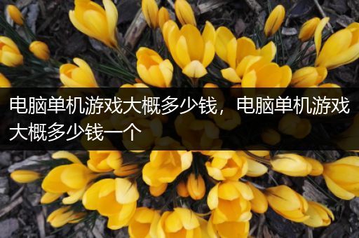 电脑单机游戏大概多少钱，电脑单机游戏大概多少钱一个