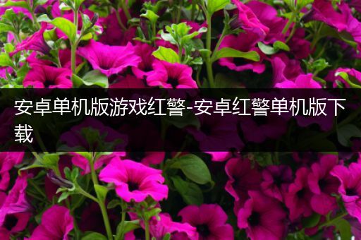 安卓单机版游戏红警-安卓红警单机版下载