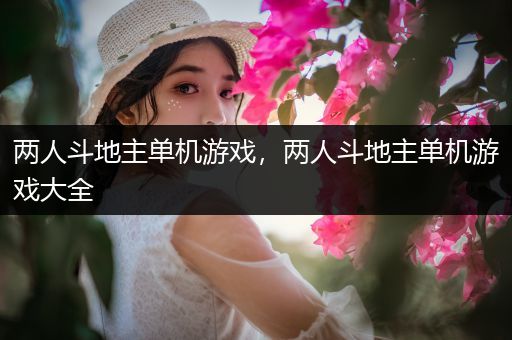 两人斗地主单机游戏，两人斗地主单机游戏大全