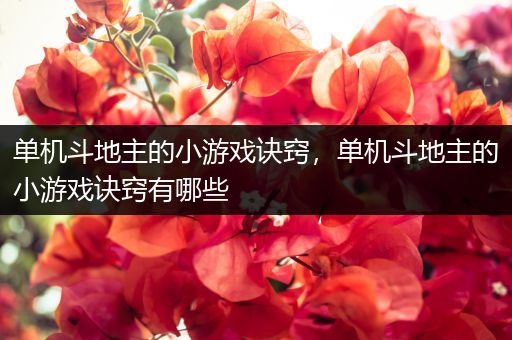 单机斗地主的小游戏诀窍，单机斗地主的小游戏诀窍有哪些