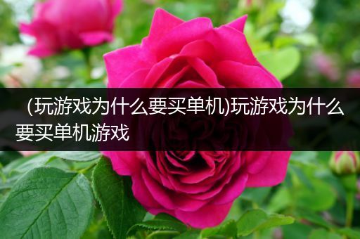 （玩游戏为什么要买单机)玩游戏为什么要买单机游戏