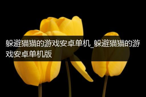 躲避猫猫的游戏安卓单机_躲避猫猫的游戏安卓单机版