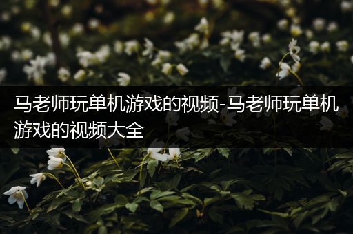 马老师玩单机游戏的视频-马老师玩单机游戏的视频大全