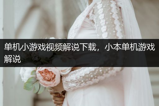 单机小游戏视频解说下载，小本单机游戏解说