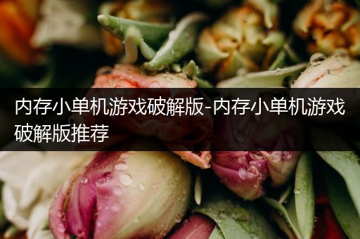 内存小单机游戏破解版-内存小单机游戏破解版推荐