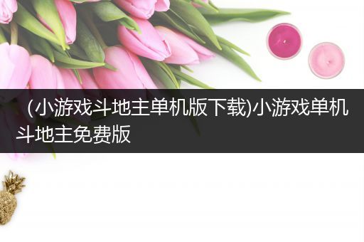 （小游戏斗地主单机版下载)小游戏单机斗地主免费版