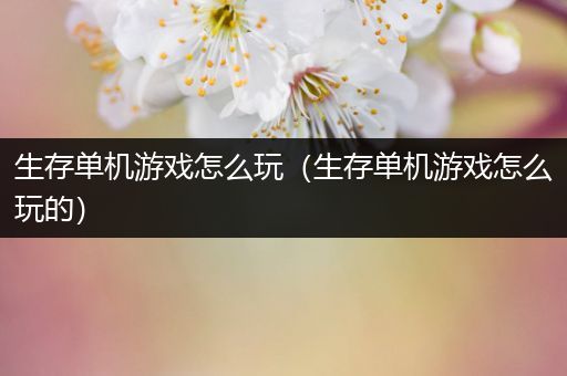 生存单机游戏怎么玩（生存单机游戏怎么玩的）