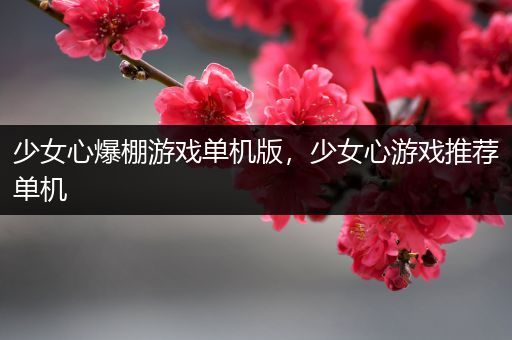 少女心爆棚游戏单机版，少女心游戏推荐单机