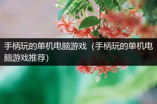 手柄玩的单机电脑游戏（手柄玩的单机电脑游戏推荐）