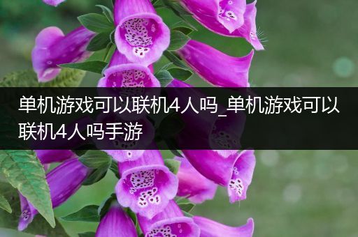 单机游戏可以联机4人吗_单机游戏可以联机4人吗手游