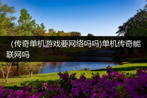 （传奇单机游戏要网络吗吗)单机传奇能联网吗