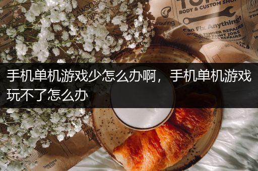 手机单机游戏少怎么办啊，手机单机游戏玩不了怎么办