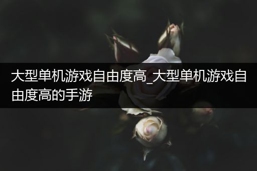 大型单机游戏自由度高_大型单机游戏自由度高的手游