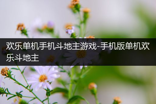 欢乐单机手机斗地主游戏-手机版单机欢乐斗地主