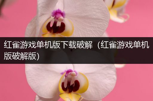 红雀游戏单机版下载破解（红雀游戏单机版破解版）