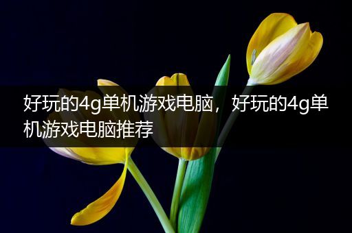 好玩的4g单机游戏电脑，好玩的4g单机游戏电脑推荐