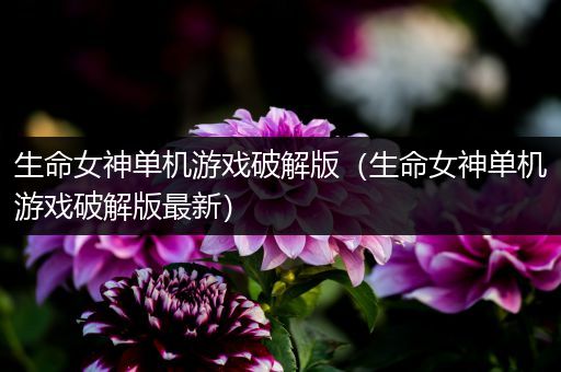 生命女神单机游戏破解版（生命女神单机游戏破解版最新）