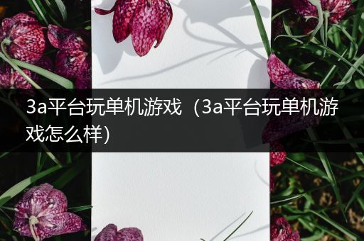3a平台玩单机游戏（3a平台玩单机游戏怎么样）