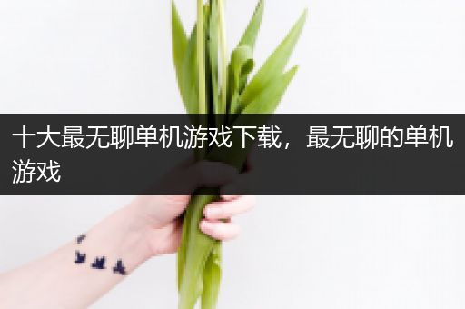 十大最无聊单机游戏下载，最无聊的单机游戏