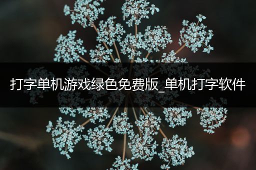 打字单机游戏绿色免费版_单机打字软件