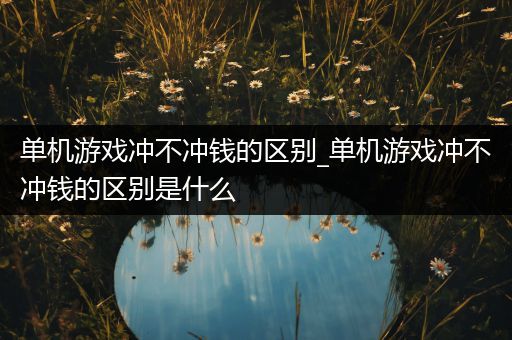 单机游戏冲不冲钱的区别_单机游戏冲不冲钱的区别是什么