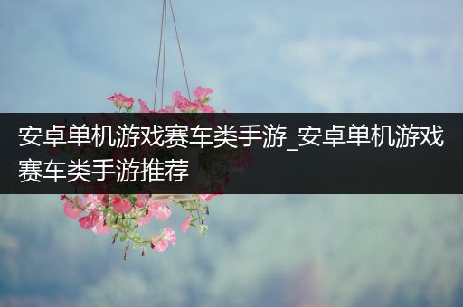 安卓单机游戏赛车类手游_安卓单机游戏赛车类手游推荐