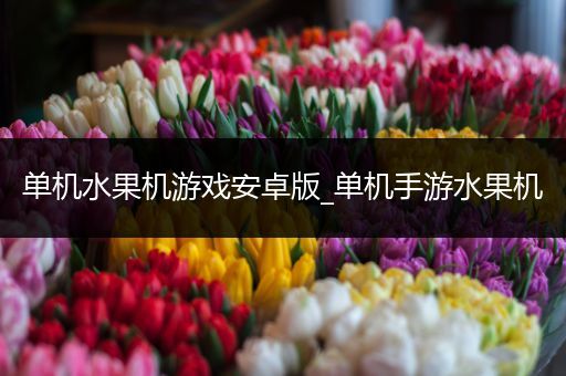 单机水果机游戏安卓版_单机手游水果机