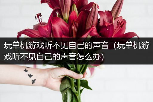 玩单机游戏听不见自己的声音（玩单机游戏听不见自己的声音怎么办）