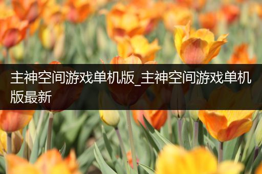 主神空间游戏单机版_主神空间游戏单机版最新