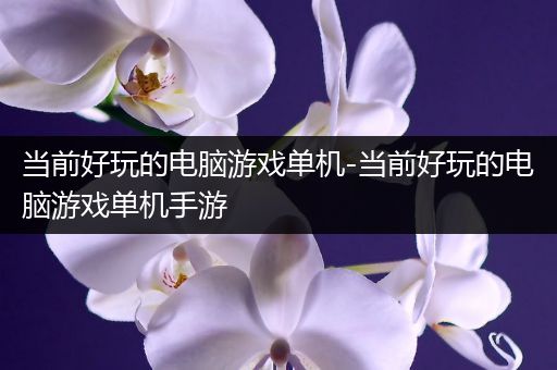当前好玩的电脑游戏单机-当前好玩的电脑游戏单机手游