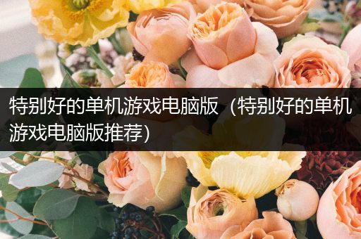 特别好的单机游戏电脑版（特别好的单机游戏电脑版推荐）