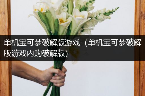 单机宝可梦破解版游戏（单机宝可梦破解版游戏内购破解版）