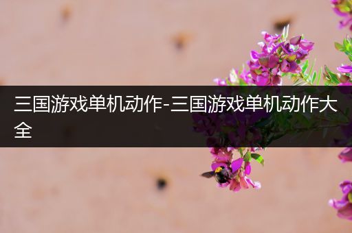 三国游戏单机动作-三国游戏单机动作大全