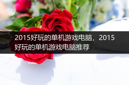 2015好玩的单机游戏电脑，2015好玩的单机游戏电脑推荐